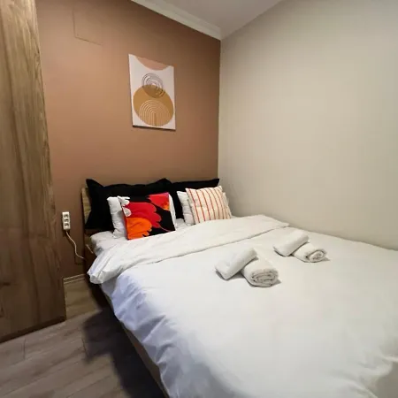 Comelivego Cihangir 22